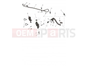 Rear Master Cylinder - Triumph TF450-E 2026