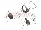 Engine Covers - Triumph TF250-C 2025
