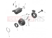 Alternator & Starter Motor - Triumph TF250-C 2026