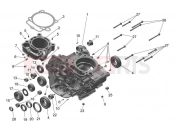 Crankcase - Triumph TF250-E 2025