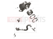 Throttle Bodies - Triumph TF250-E 2025