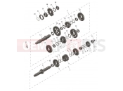 Transmission - Triumph TF250-E 2026
