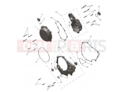Engine Covers - Triumph TF450-X 2025