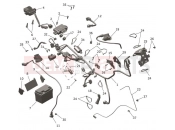 Electrical System - Triumph TF450-X 2025