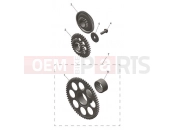 TRIUMPH TF450-X Starter Drive Gears